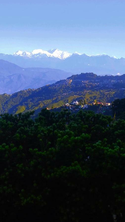 Rambler'S Nesting Homestay ダージリン エクステリア 写真